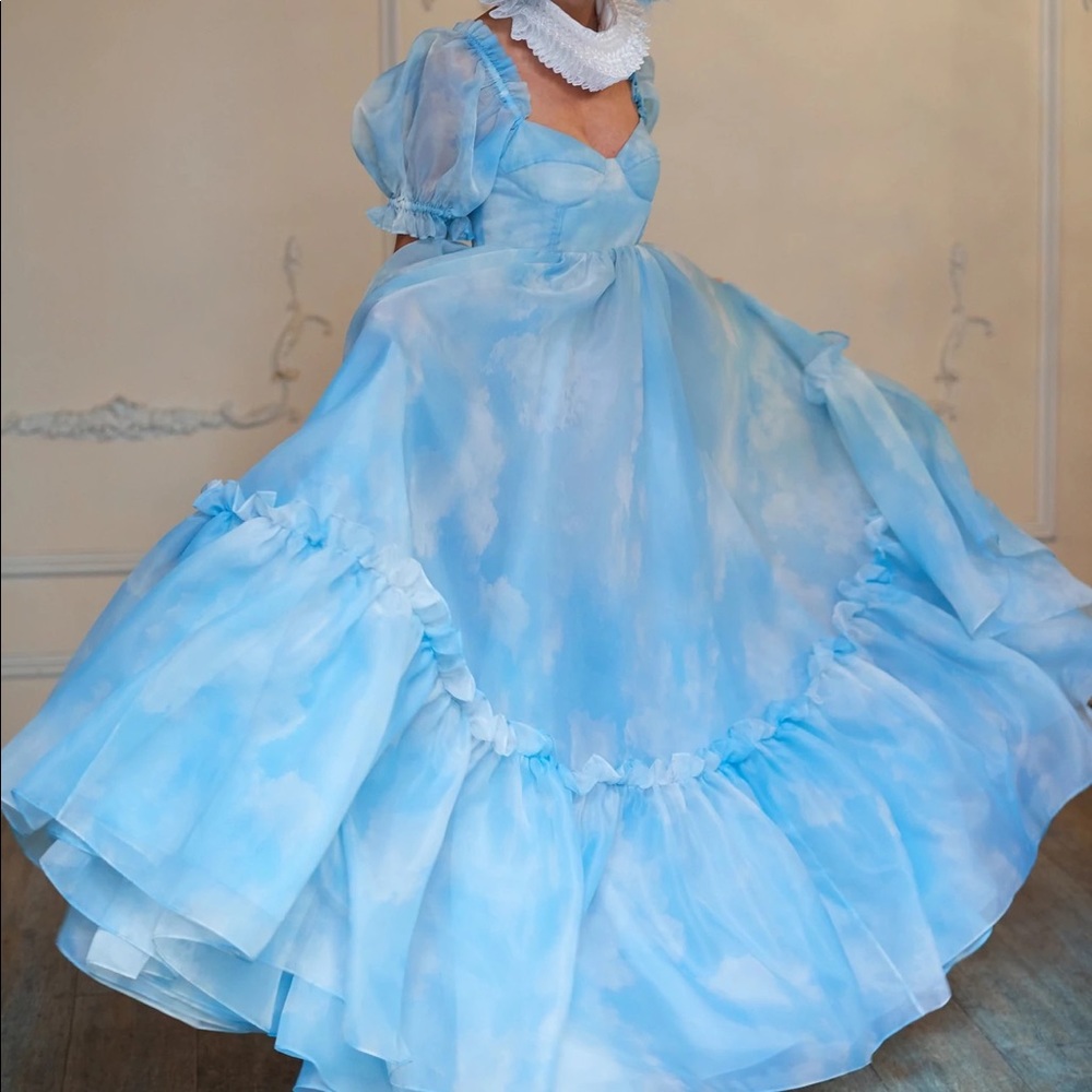 NWT Head in the Clouds Ritz Dress